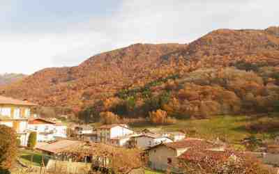 Casargo